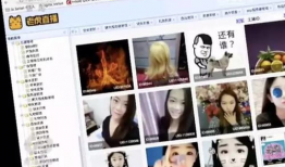 成人免费视频在线观看