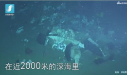 马里亚纳海沟视频,深海奇观揭秘之旅